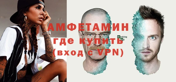 молекула духа Няндома