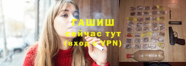 молекула духа Няндома