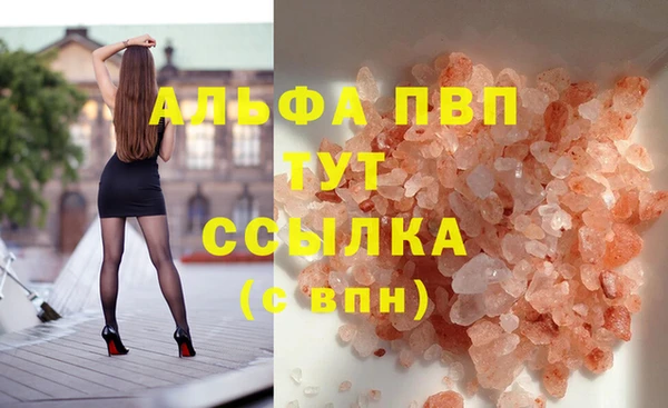 молекула духа Няндома