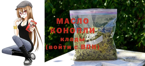 молекула духа Няндома