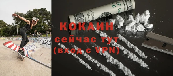 молекула духа Няндома