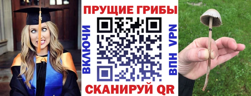 сколько стоит  shop состав  Галлюциногенные грибы мицелий  Сельцо 